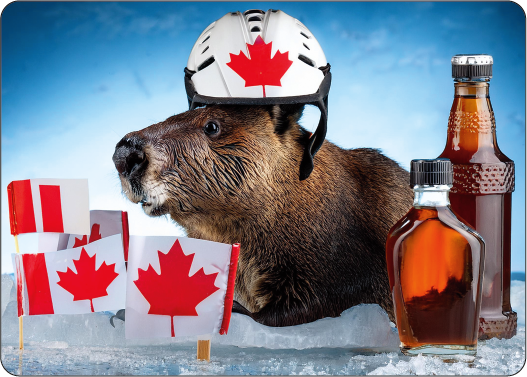Playing Cards - Canada Icons #19